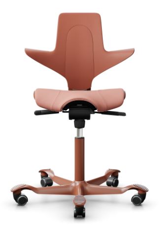 HAG Capisco Puls 8020