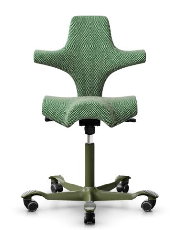 HAG Capisco 8106 Green