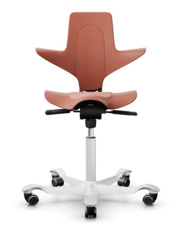 HAG Capisco Puls  8010