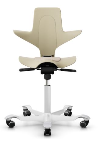 HAG Capisco Puls 8010