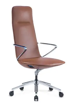 Proline Amola Cognac