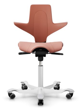 HAG Capisco Puls 8020