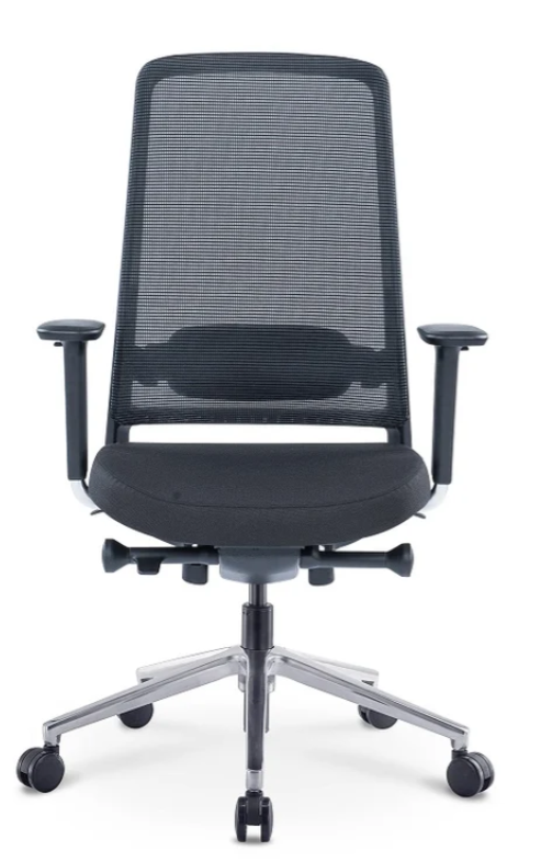 Proline Nexon 1335