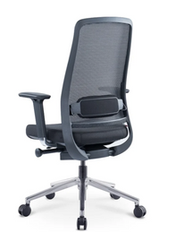 Proline Nexon 1335