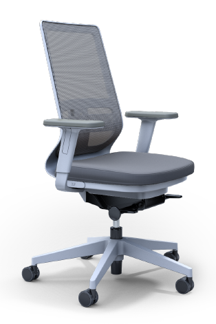 Pyla Mesh