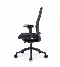 Proline Nexon 1335