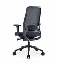 Proline Nexon 1335